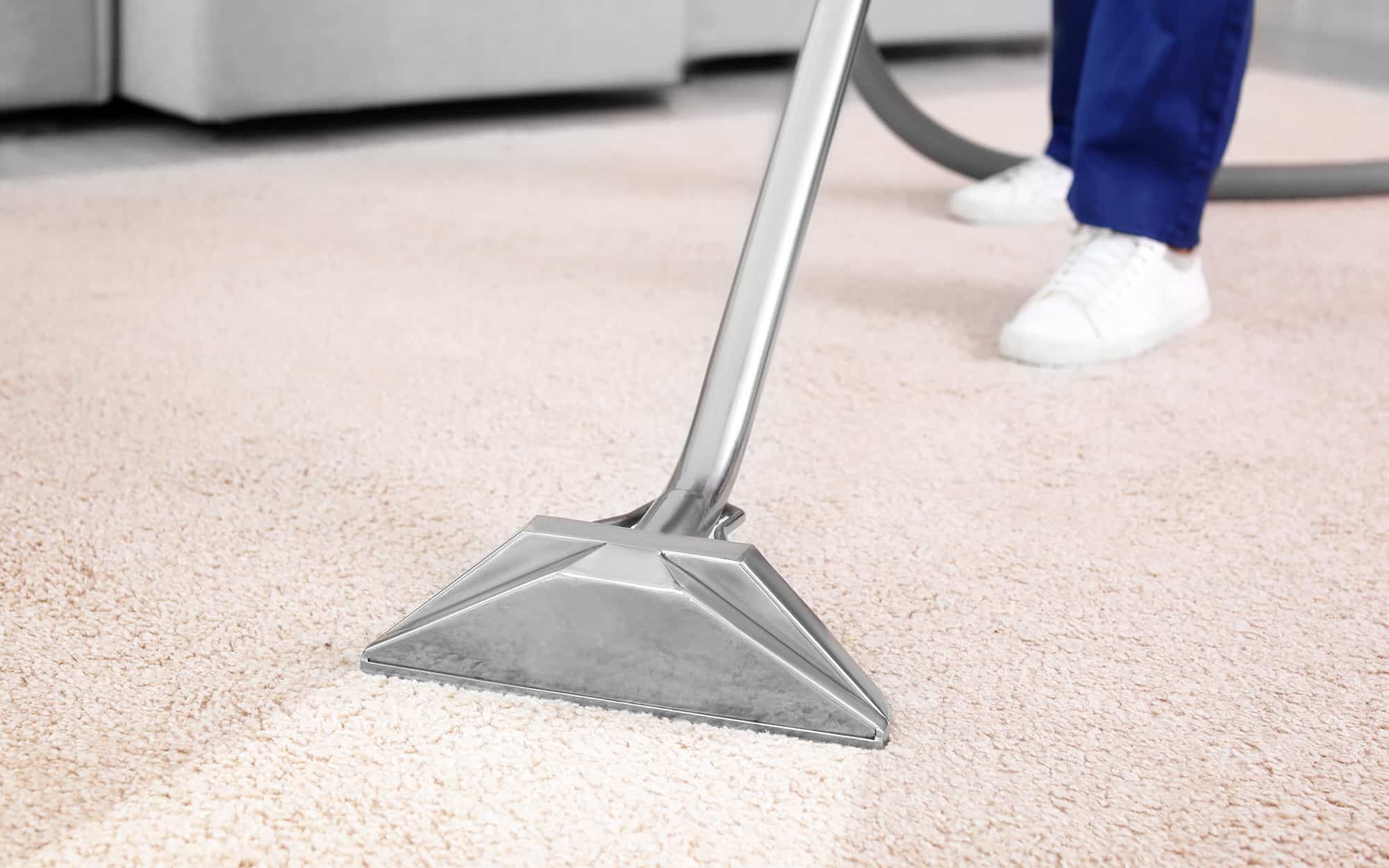 Worker removing dirt from carpet indoors, closeup. Cleaning service